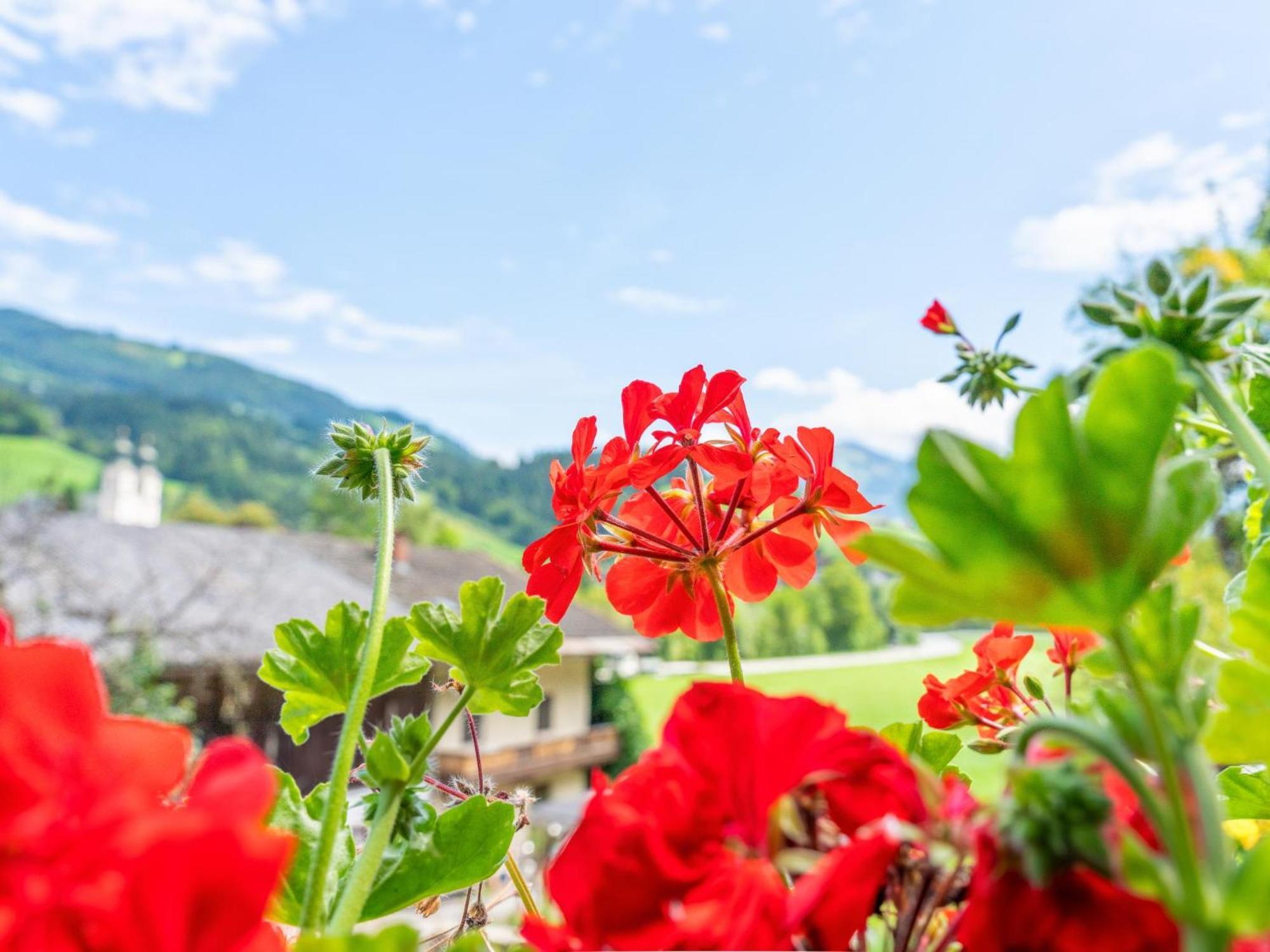 Alte Grafenmuehle Villa Hopfgarten im Brixental Exterior photo