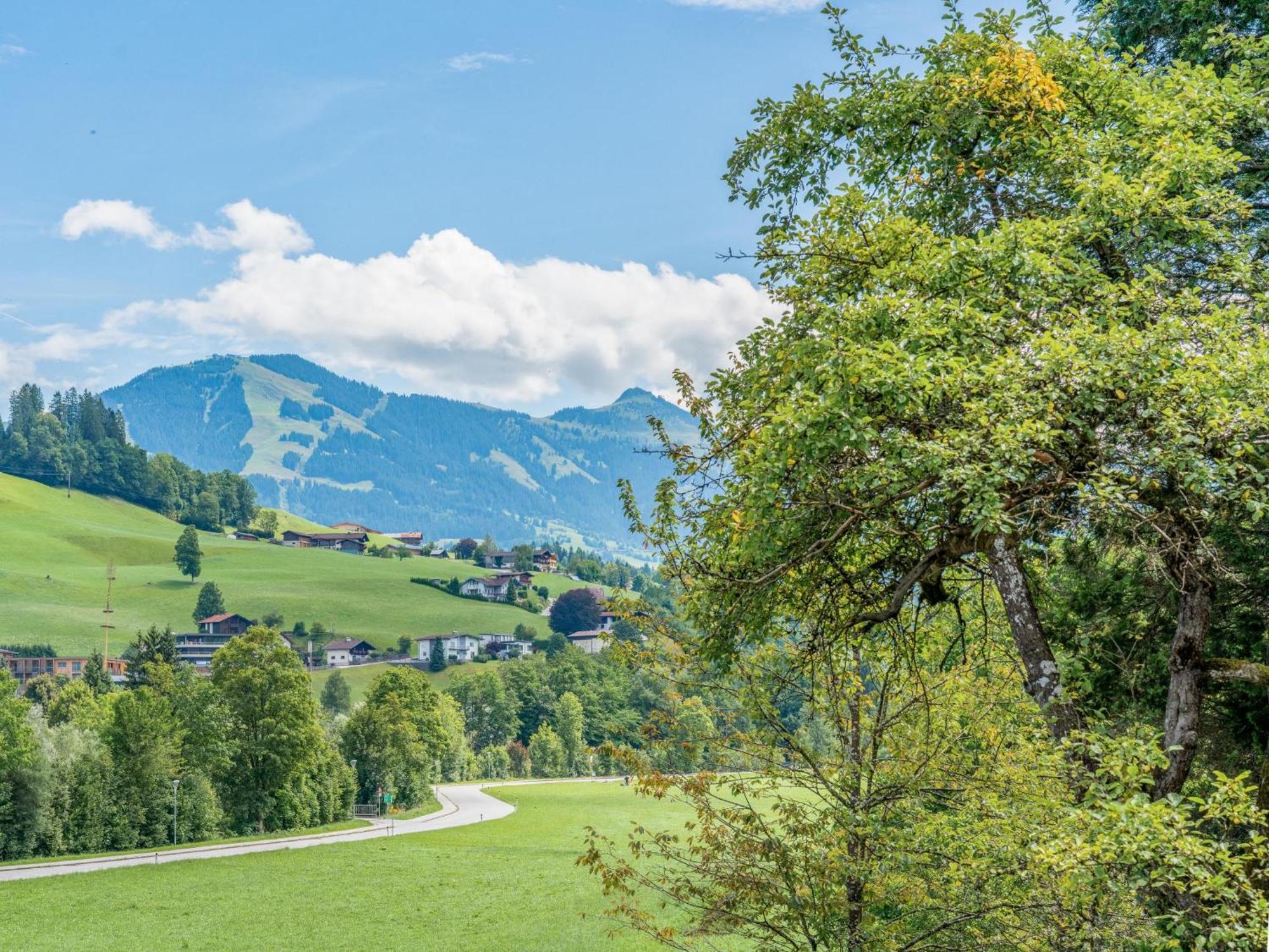 Alte Grafenmuehle Villa Hopfgarten im Brixental Exterior photo